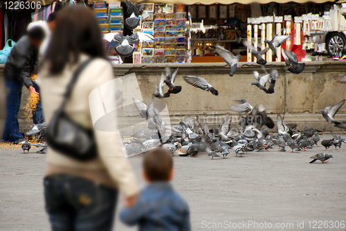 Image of Feeding pigeons in Padua