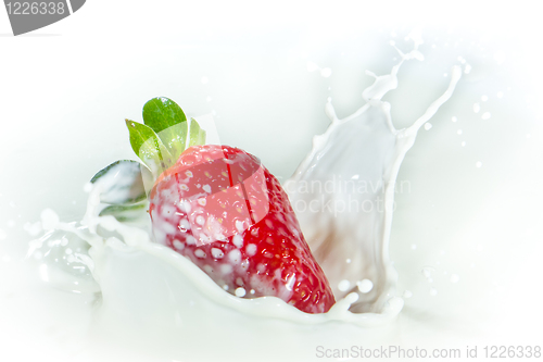 Image of strawberry splashing into milk