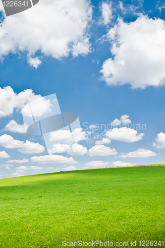 Image of agriculture landscape