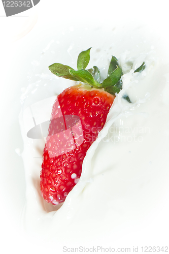 Image of strawberry splashing into milk