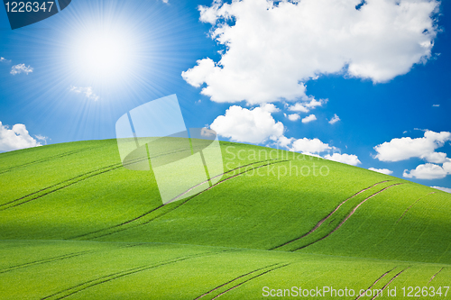 Image of green field