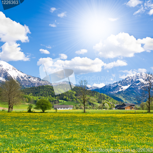 Image of alpine landscape