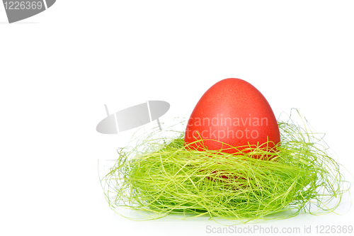 Image of easter egg in nest