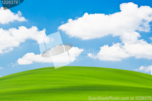Image of green field
