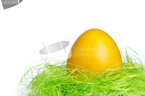 Image of easter egg in nest