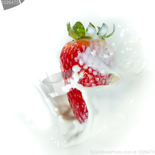 Image of strawberry splashing into milk