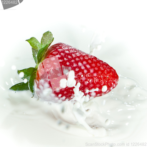 Image of strawberry splashing into milk