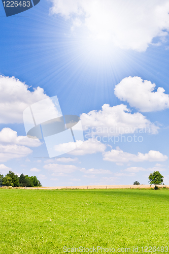 Image of agriculture landscape