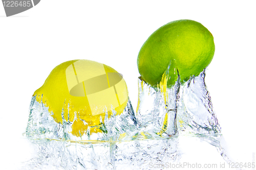 Image of citrus fruit splashing