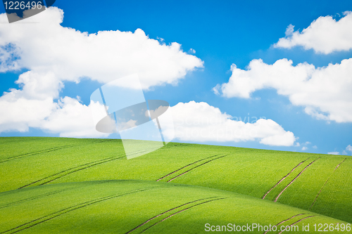 Image of green field