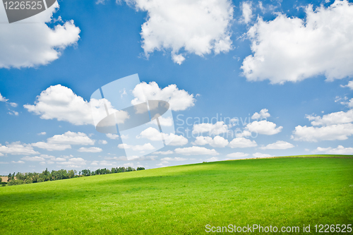 Image of agriculture landscape