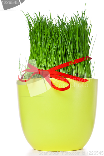 Image of easter grass