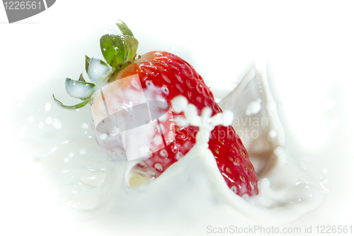 Image of strawberry splashing into milk