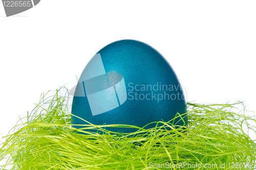 Image of easter egg in nest