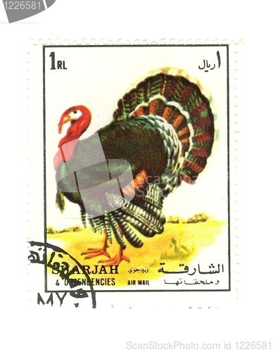 Image of arabic stamp