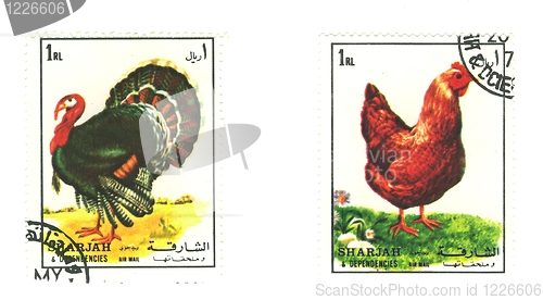 Image of arabic stamp