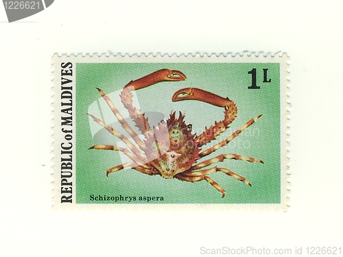 Image of stamp from maldives