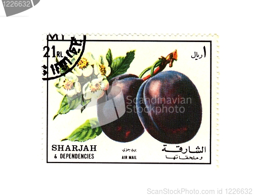 Image of arabic stamp
