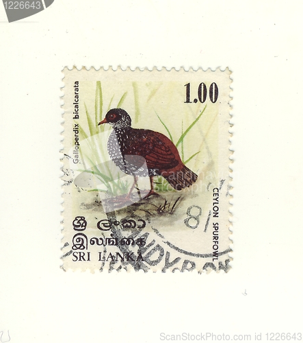 Image of stamp from sri lanka