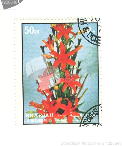 Image of arabic stamp