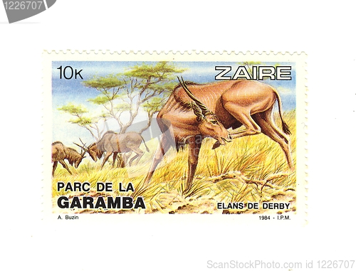 Image of congolese stamp