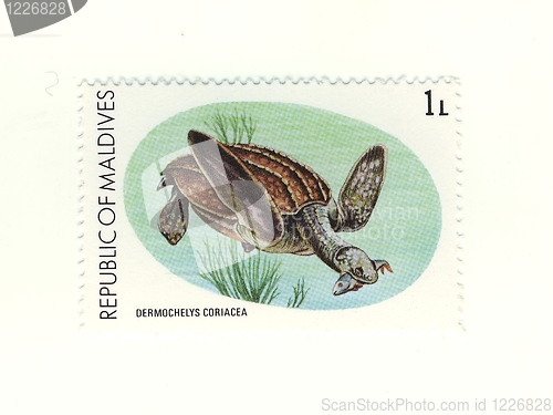 Image of stamp from maldives
