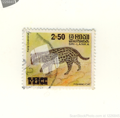 Image of stamp from sri lanka