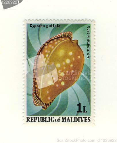 Image of stamp from maldives