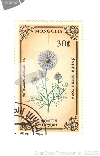 Image of mongol stamp