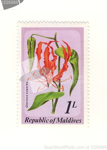 Image of stamp from maldives