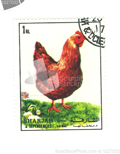 Image of arabic stamp