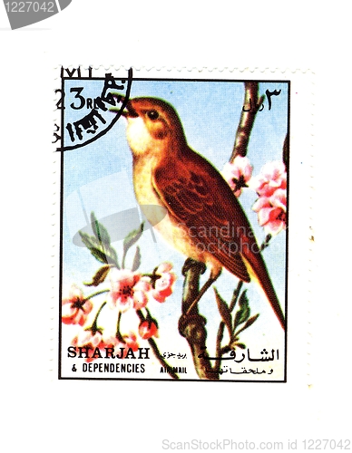 Image of arabic stamp