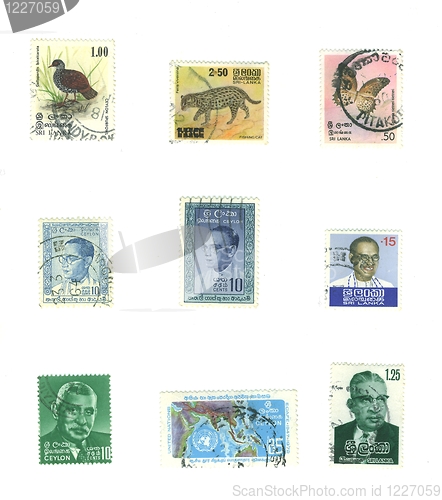 Image of stamp from sri lanka