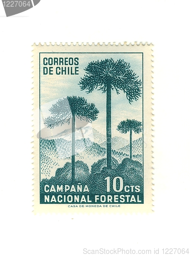 Image of chilean stamp