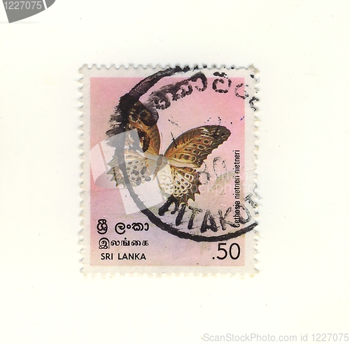 Image of stamp from sri lanka