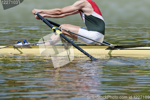 Image of Skiff rower