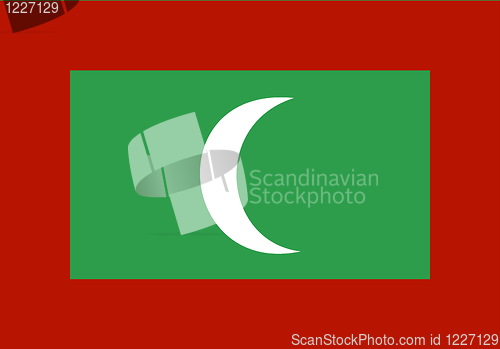 Image of Flag of Maldives
