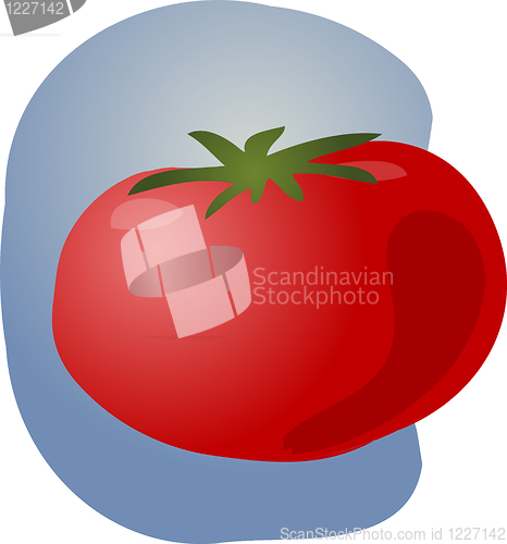 Image of Tomato illustration