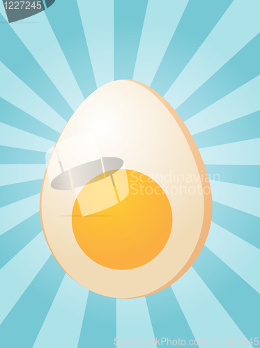 Image of Egg illustration