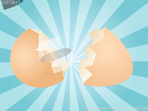Image of Egg illustration