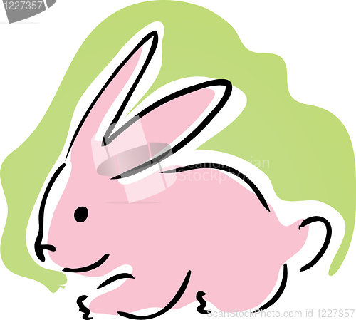 Image of Cute bunny
