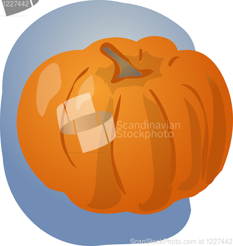 Image of Pumpkin illustration