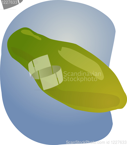 Image of Papaya fruit illustration