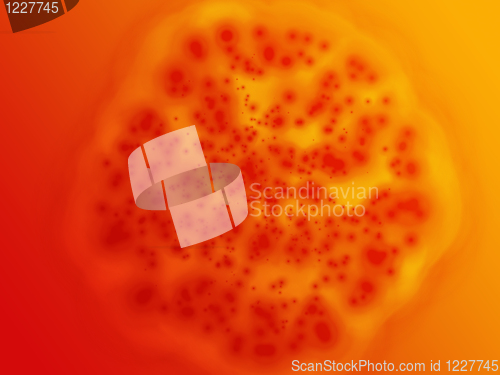 Image of Bacterial cell growth illustration