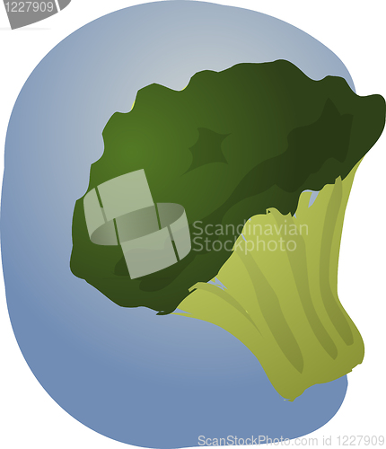 Image of Brocolli illustration