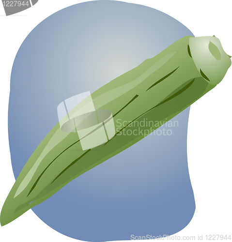 Image of Okra illustration