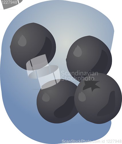 Image of Blueberries illustration