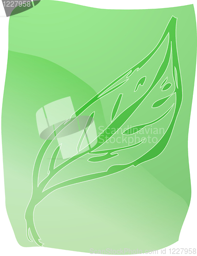 Image of Leaf illustration