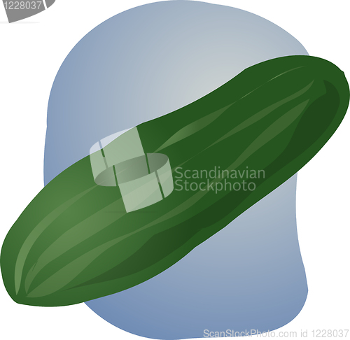 Image of Cucumber illustration