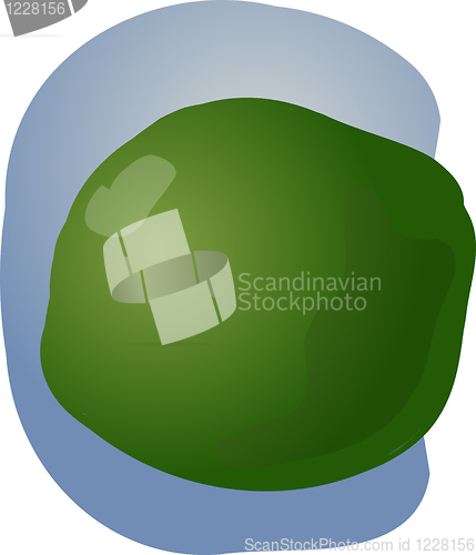 Image of lime illustration
